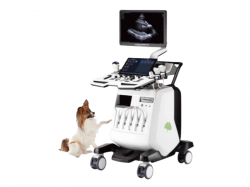 Vinno D-650 High-End Veteriner Renkli Doppler Ultrason